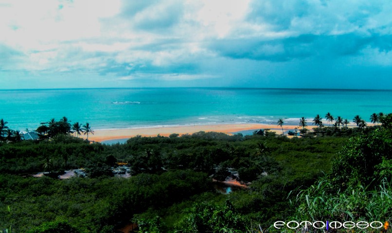 Brasil logo 14 (Small)